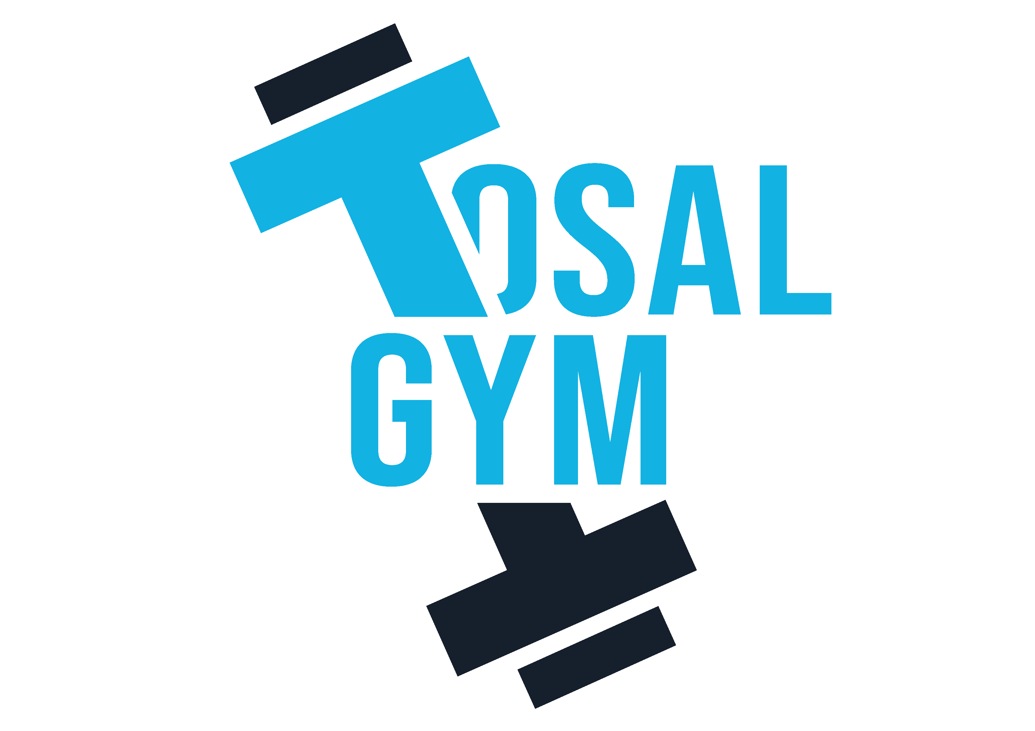 Tosalgym.ch