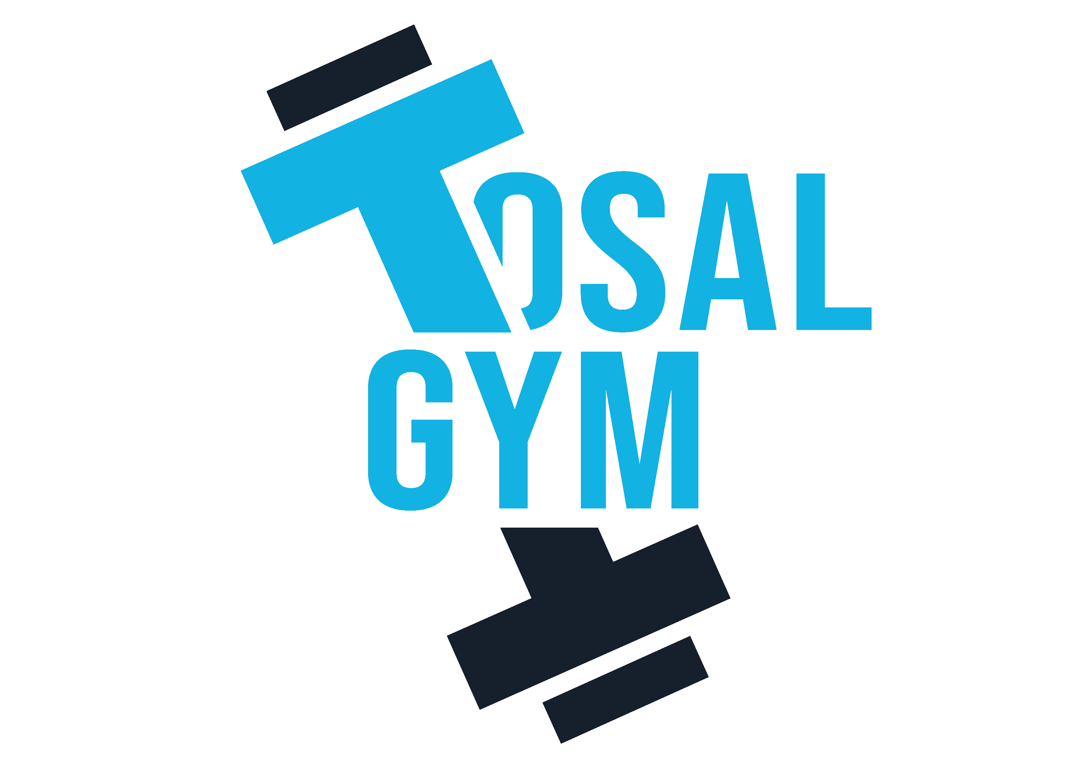 LOGO_TOSALGYM